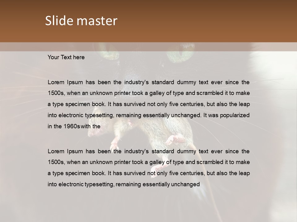 A Black Cat With A Mouse In It's Mouth PowerPoint Template