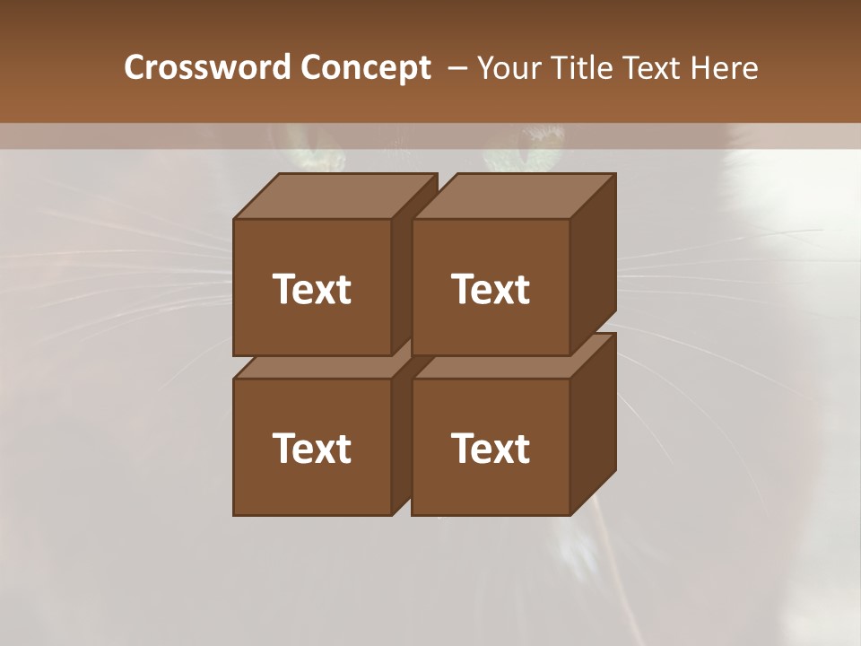 A Black Cat With A Mouse In It's Mouth PowerPoint Template