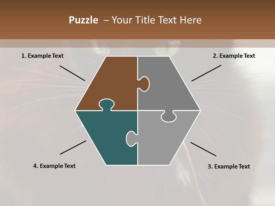 A Black Cat With A Mouse In It's Mouth PowerPoint Template