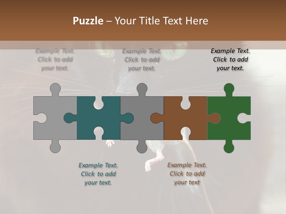 A Black Cat With A Mouse In It's Mouth PowerPoint Template