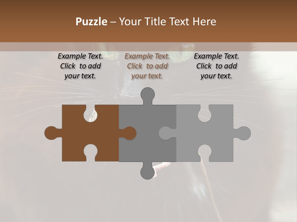 A Black Cat With A Mouse In It's Mouth PowerPoint Template