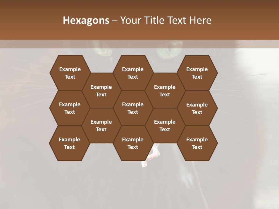 A Black Cat With A Mouse In It's Mouth PowerPoint Template