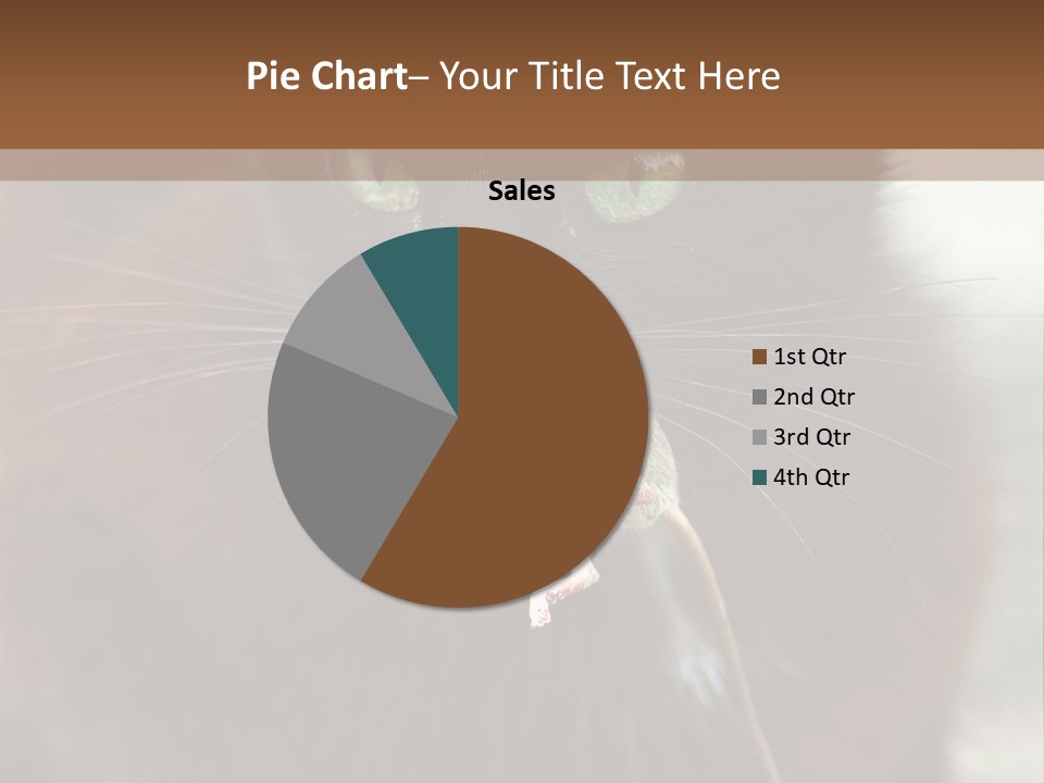 A Black Cat With A Mouse In It's Mouth PowerPoint Template