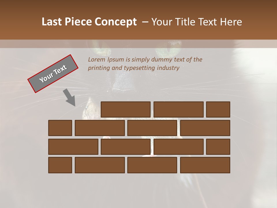 A Black Cat With A Mouse In It's Mouth PowerPoint Template