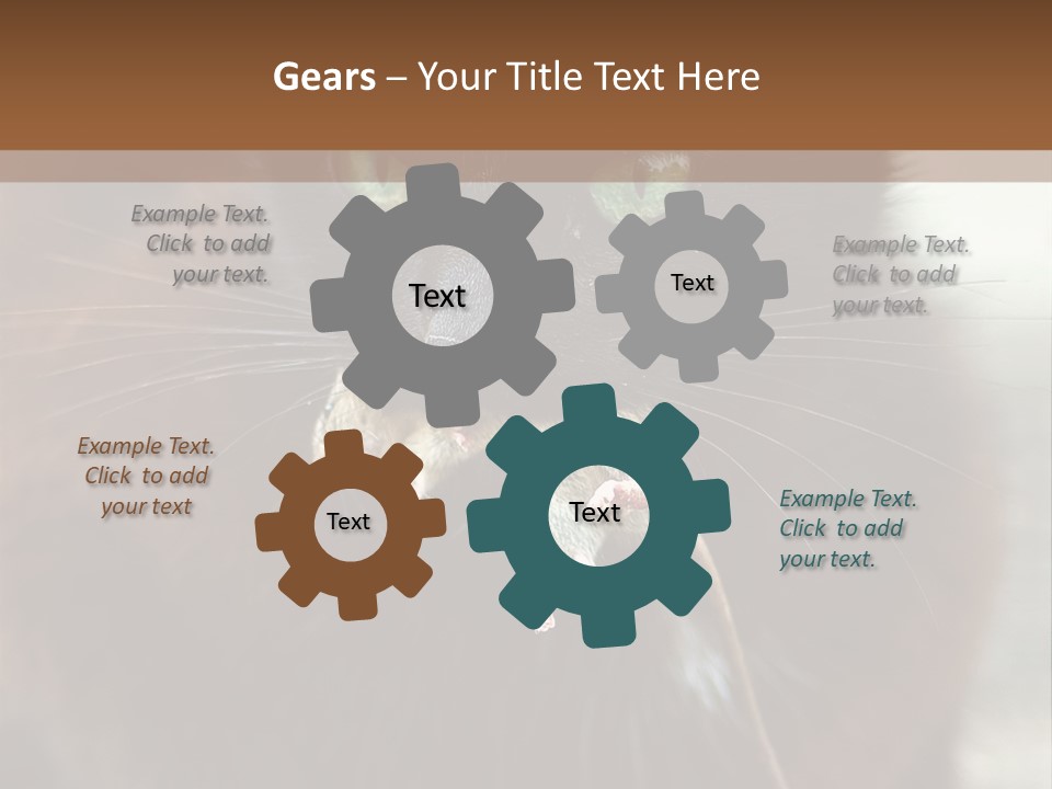 A Black Cat With A Mouse In It's Mouth PowerPoint Template