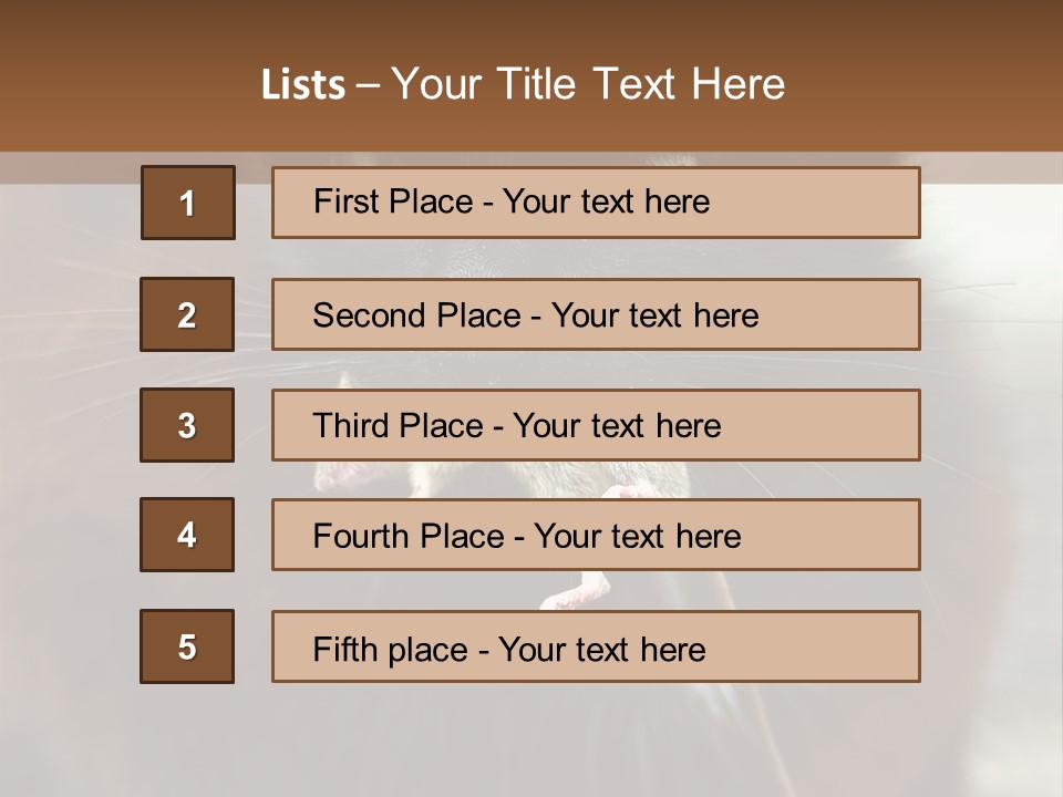 A Black Cat With A Mouse In It's Mouth PowerPoint Template