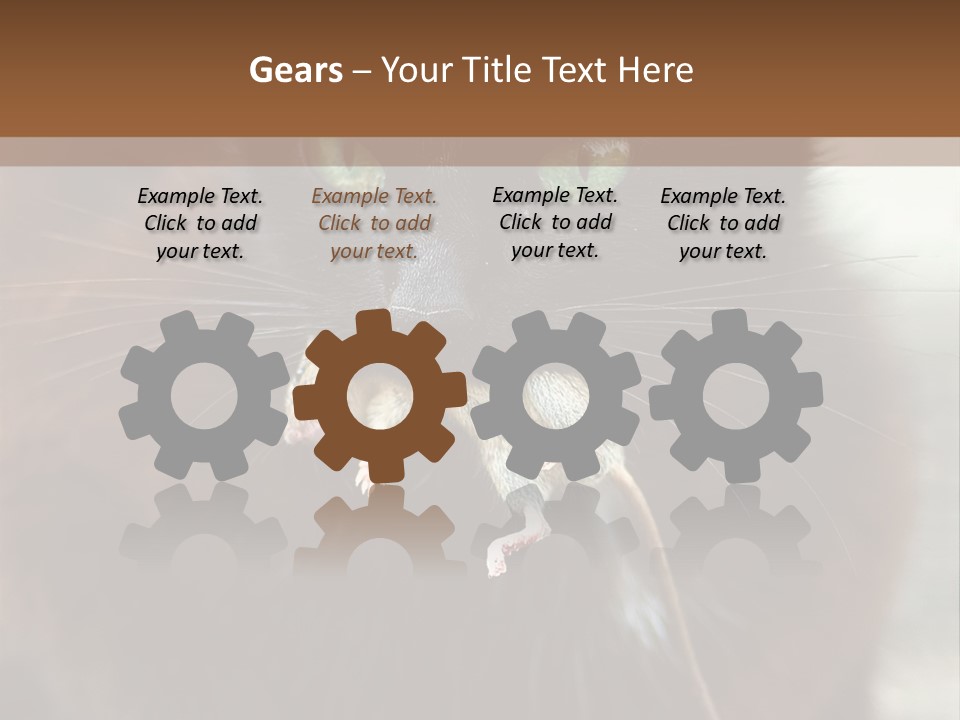 A Black Cat With A Mouse In It's Mouth PowerPoint Template