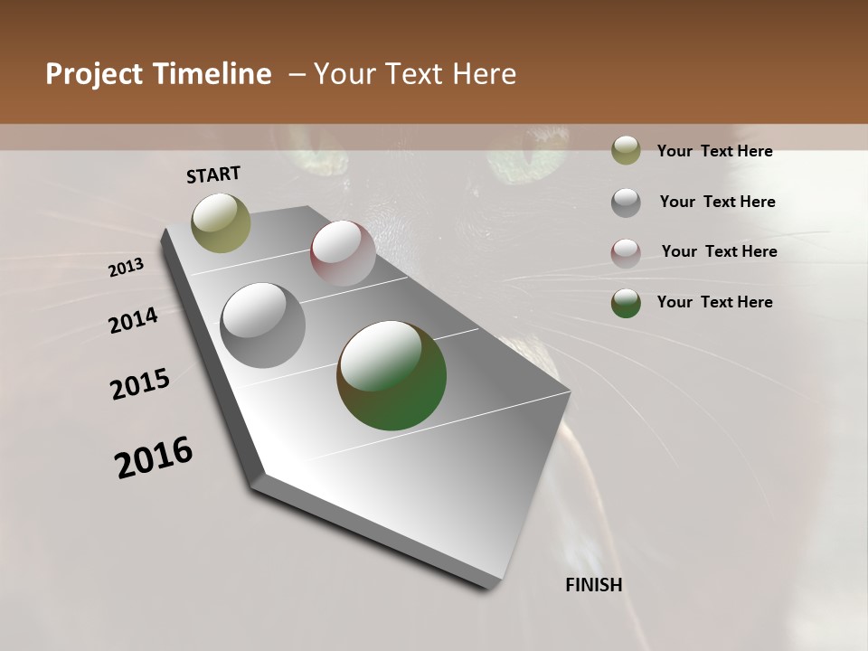 A Black Cat With A Mouse In It's Mouth PowerPoint Template
