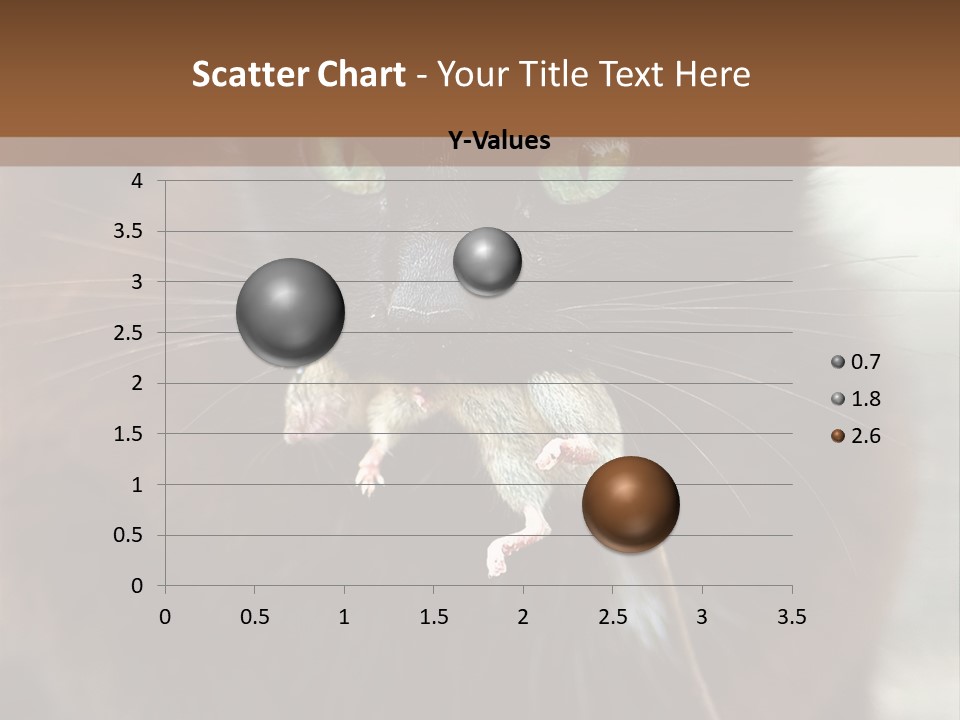 A Black Cat With A Mouse In It's Mouth PowerPoint Template