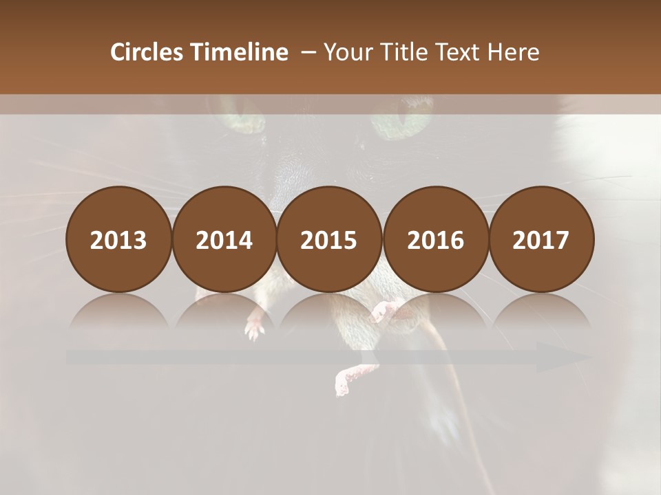 A Black Cat With A Mouse In It's Mouth PowerPoint Template