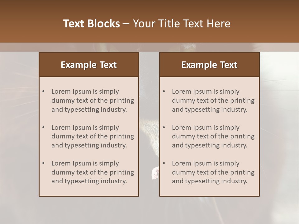 A Black Cat With A Mouse In It's Mouth PowerPoint Template