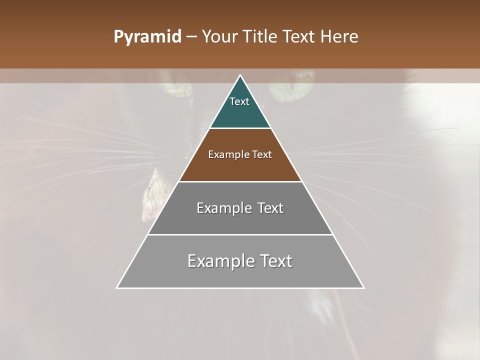 A Black Cat With A Mouse In It's Mouth PowerPoint Template