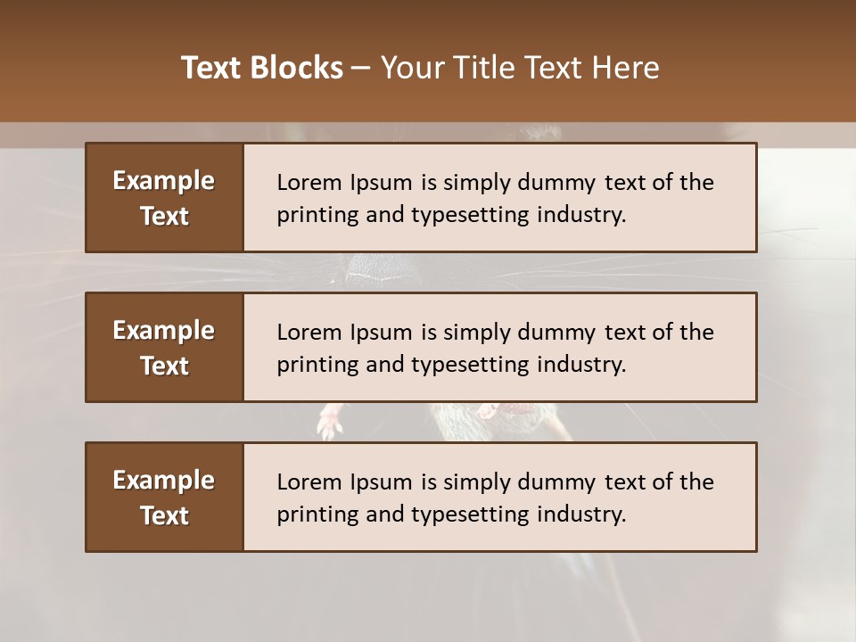 A Black Cat With A Mouse In It's Mouth PowerPoint Template