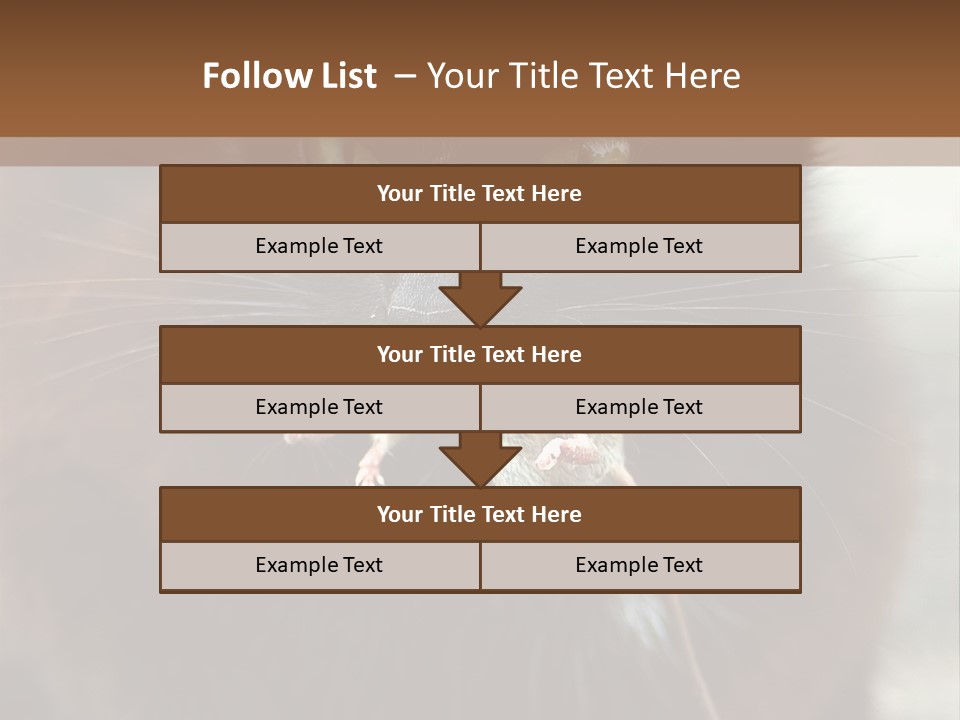 A Black Cat With A Mouse In It's Mouth PowerPoint Template