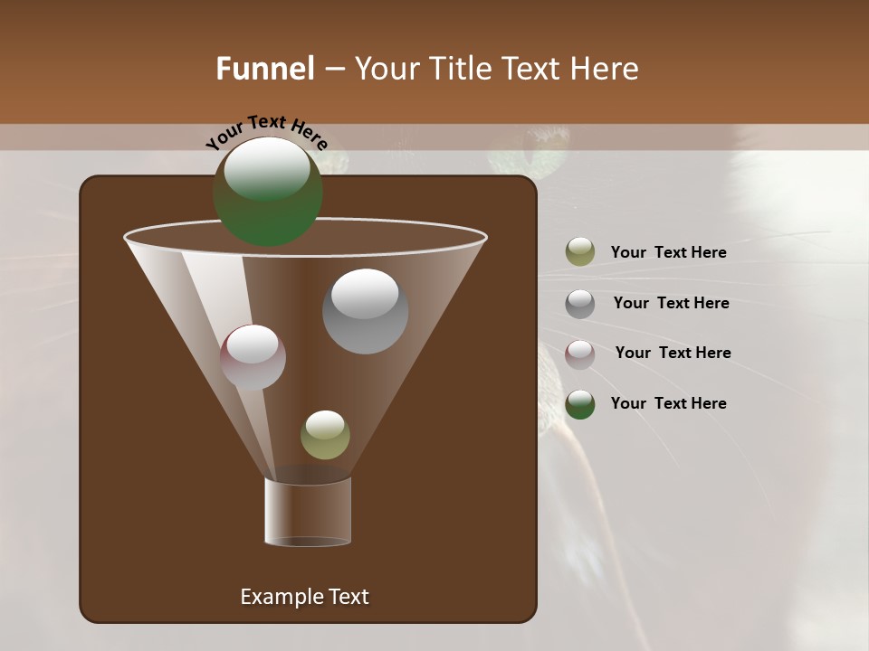 A Black Cat With A Mouse In It's Mouth PowerPoint Template