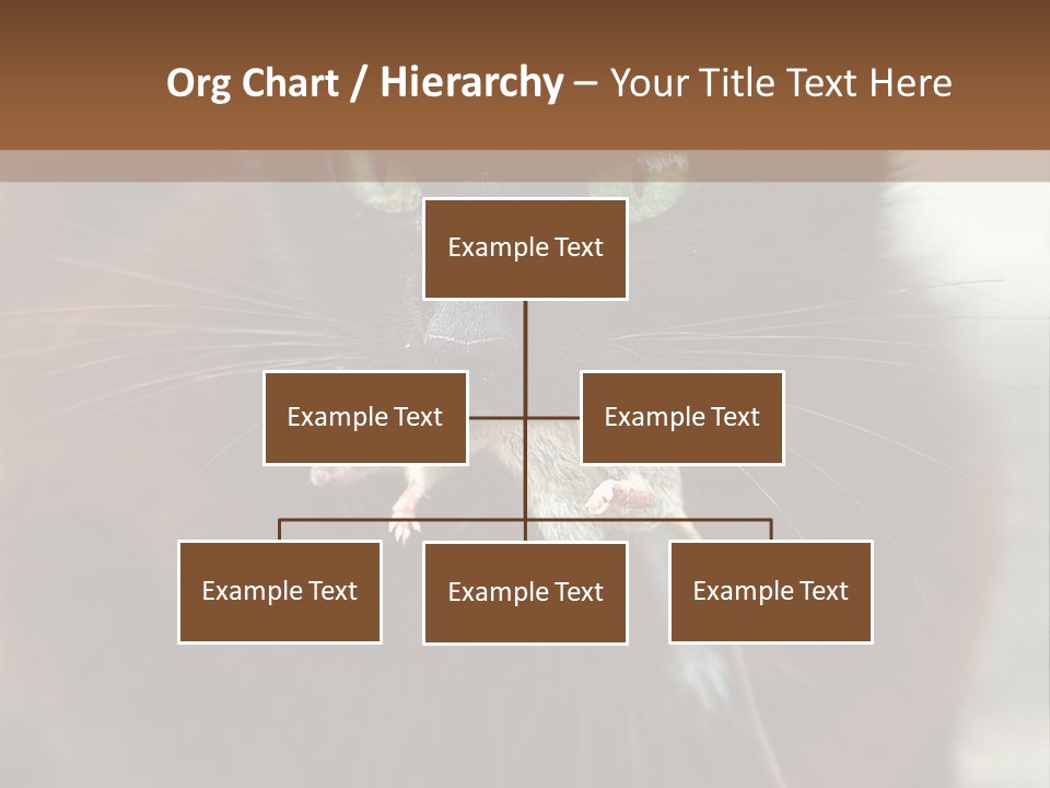 A Black Cat With A Mouse In It's Mouth PowerPoint Template