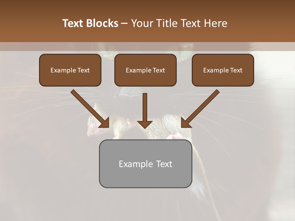 A Black Cat With A Mouse In It's Mouth PowerPoint Template