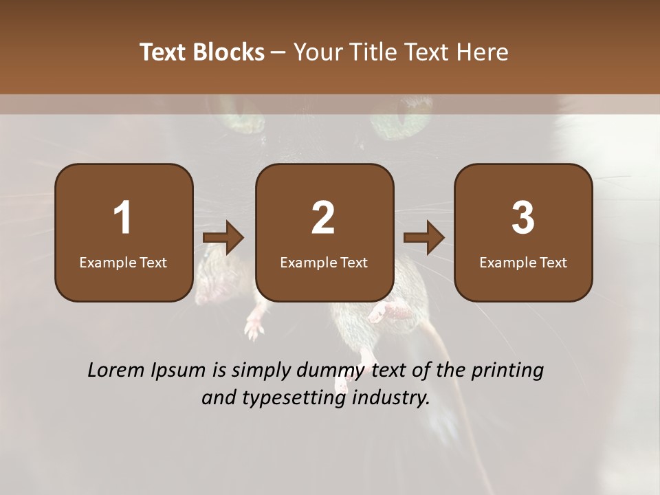 A Black Cat With A Mouse In It's Mouth PowerPoint Template