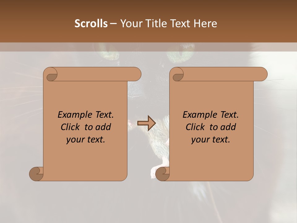 A Black Cat With A Mouse In It's Mouth PowerPoint Template