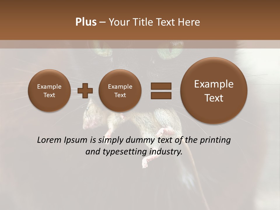 A Black Cat With A Mouse In It's Mouth PowerPoint Template