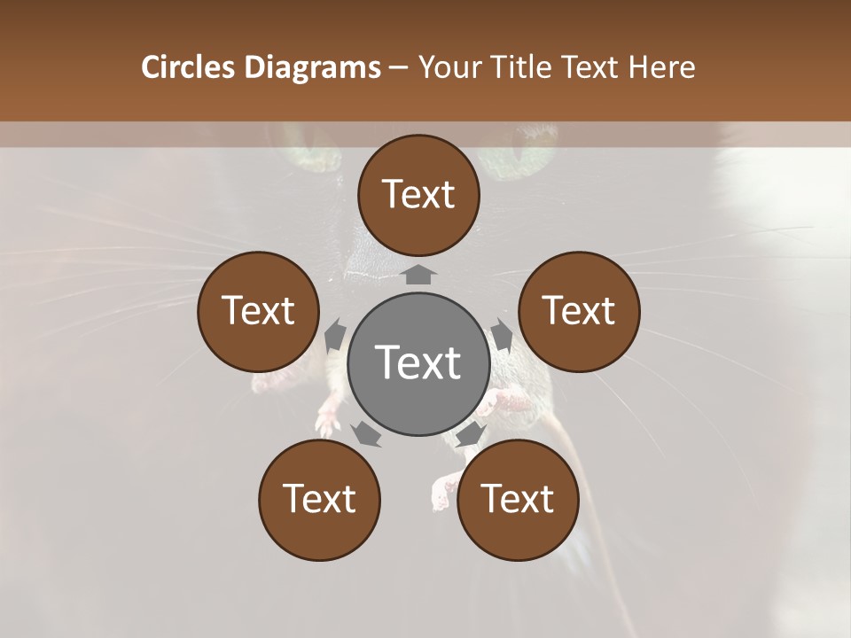 A Black Cat With A Mouse In It's Mouth PowerPoint Template