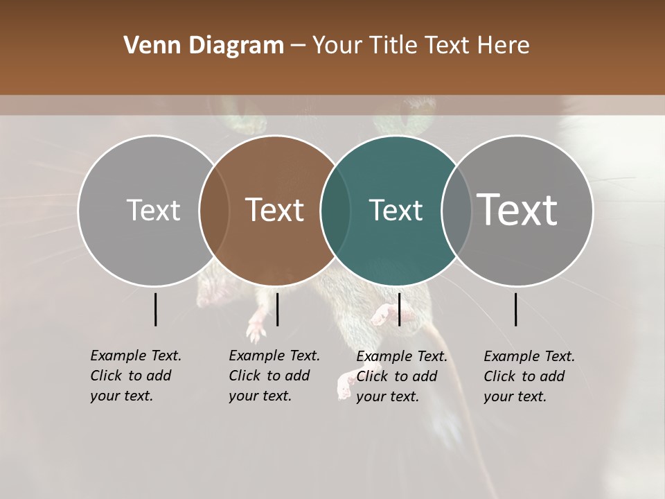 A Black Cat With A Mouse In It's Mouth PowerPoint Template