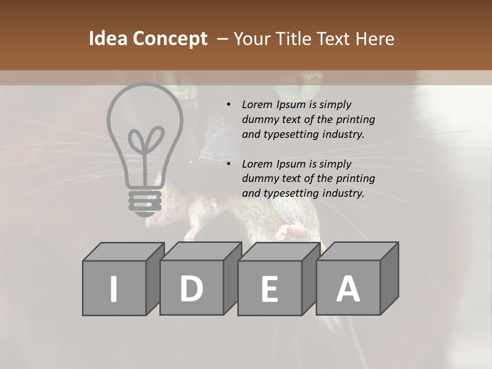 A Black Cat With A Mouse In It's Mouth PowerPoint Template