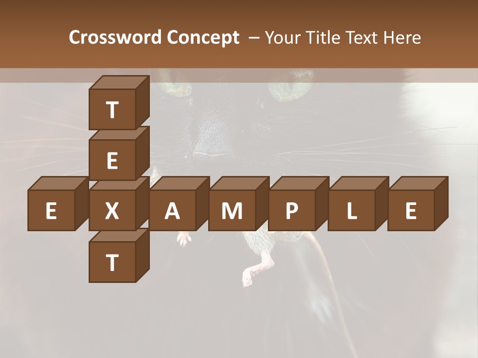 A Black Cat With A Mouse In It's Mouth PowerPoint Template