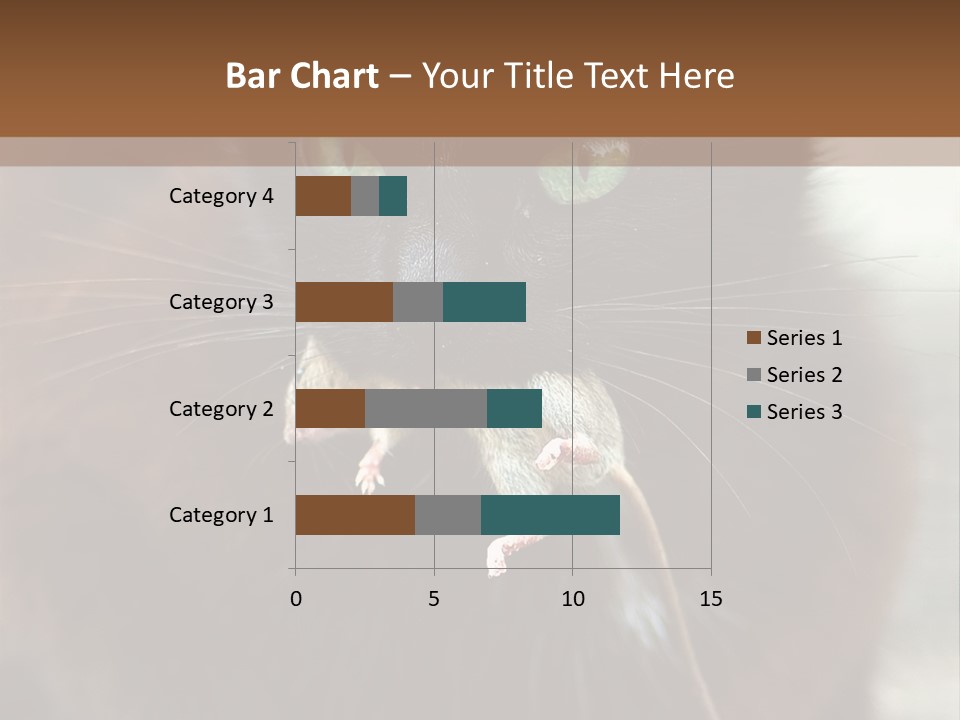 A Black Cat With A Mouse In It's Mouth PowerPoint Template