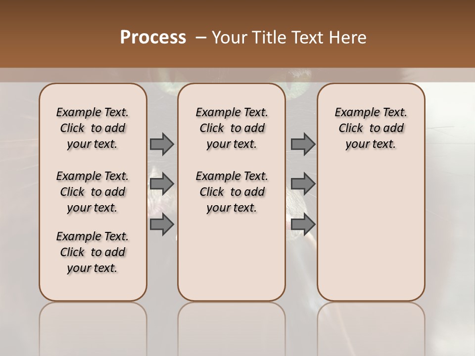 A Black Cat With A Mouse In It's Mouth PowerPoint Template