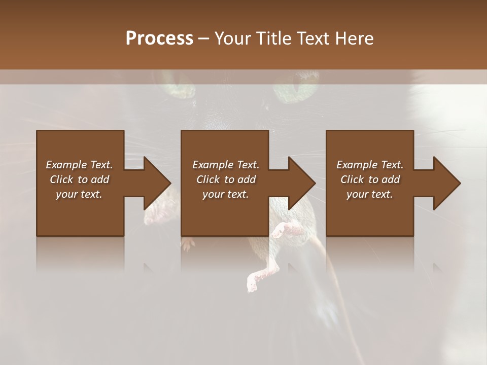 A Black Cat With A Mouse In It's Mouth PowerPoint Template