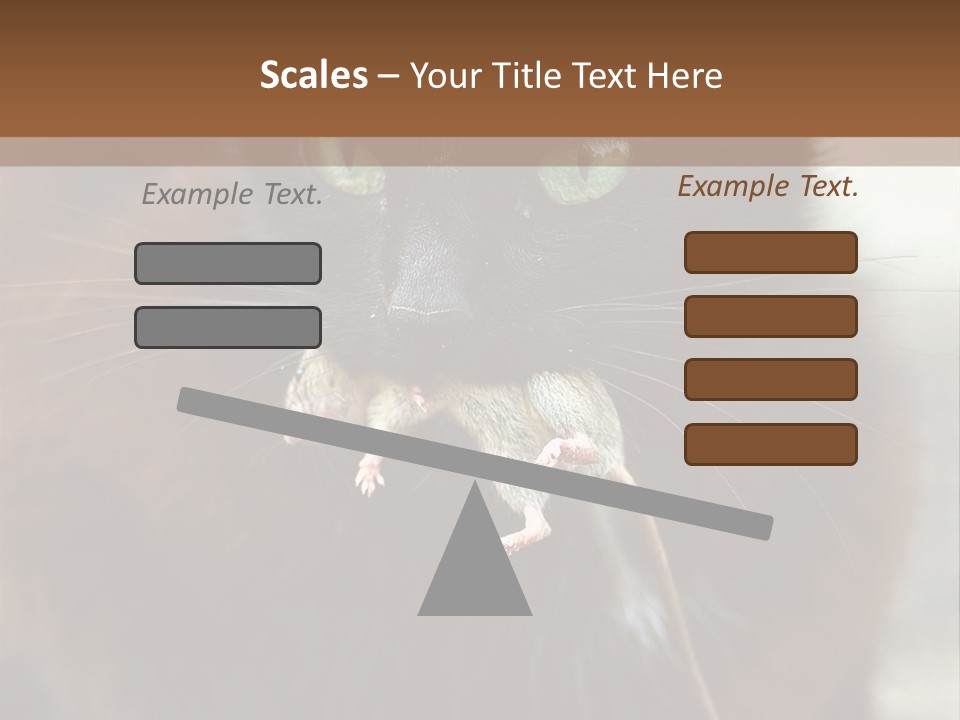 A Black Cat With A Mouse In It's Mouth PowerPoint Template