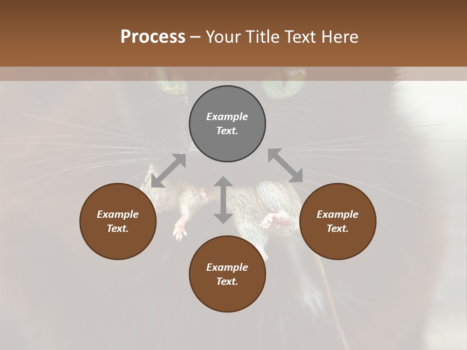 A Black Cat With A Mouse In It's Mouth PowerPoint Template