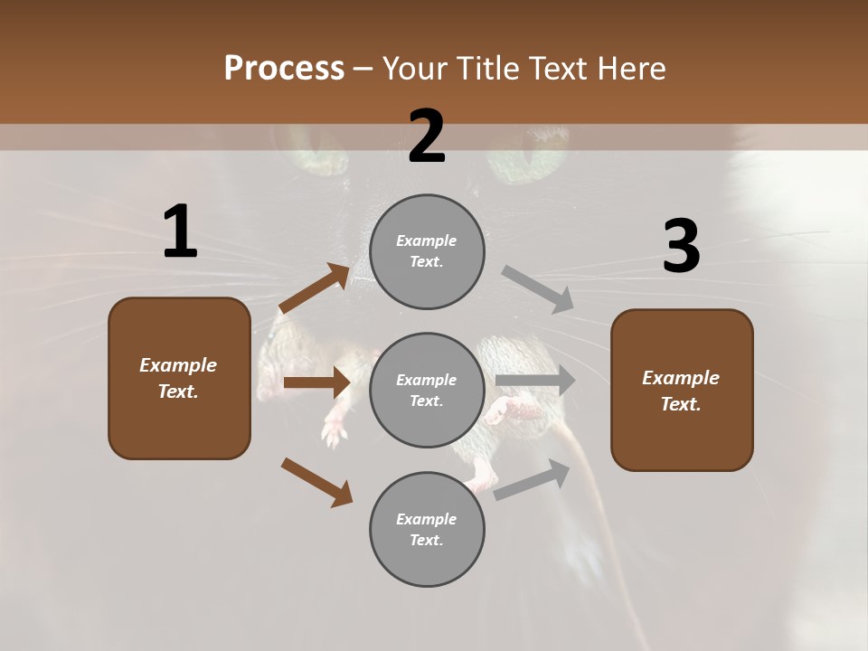 A Black Cat With A Mouse In It's Mouth PowerPoint Template