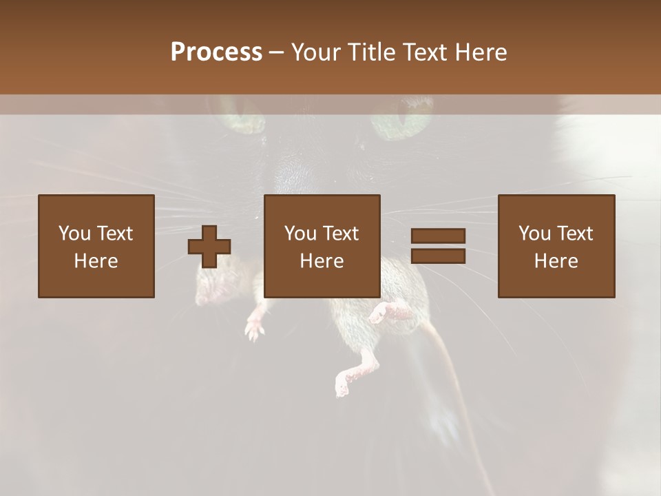 A Black Cat With A Mouse In It's Mouth PowerPoint Template