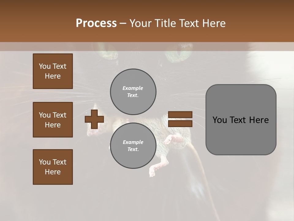 A Black Cat With A Mouse In It's Mouth PowerPoint Template