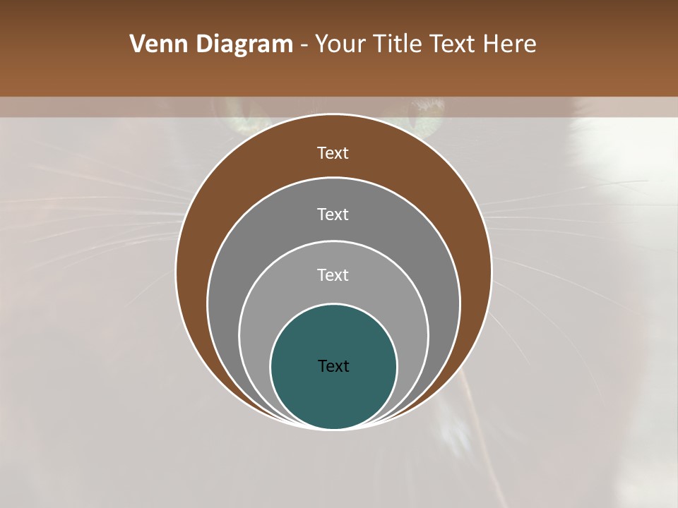 A Black Cat With A Mouse In It's Mouth PowerPoint Template