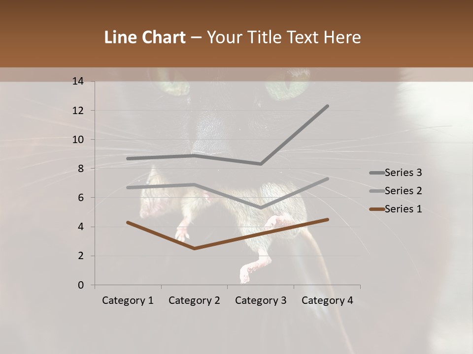 A Black Cat With A Mouse In It's Mouth PowerPoint Template