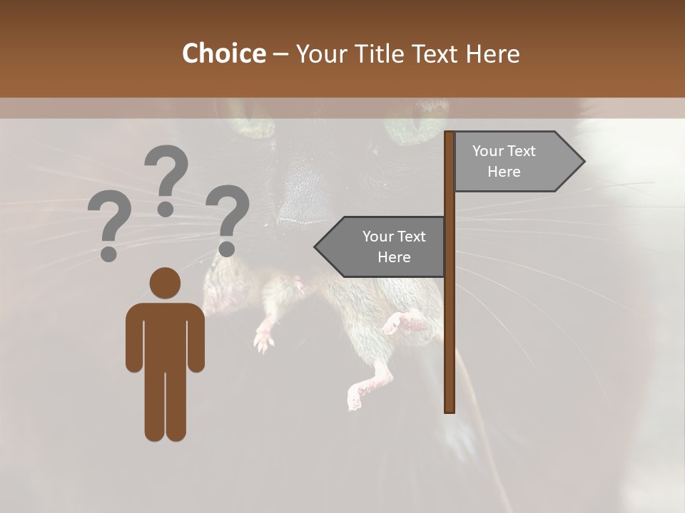 A Black Cat With A Mouse In It's Mouth PowerPoint Template