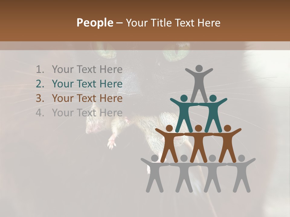 A Black Cat With A Mouse In It's Mouth PowerPoint Template