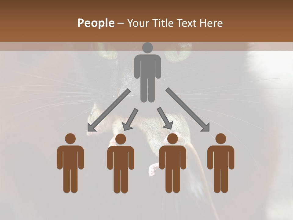 A Black Cat With A Mouse In It's Mouth PowerPoint Template