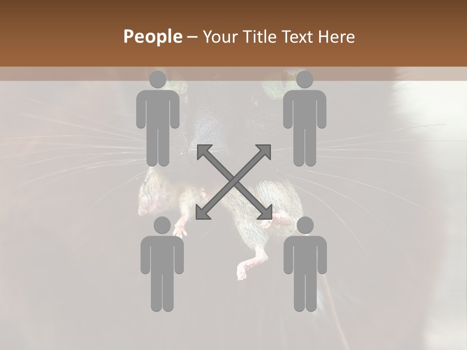 A Black Cat With A Mouse In It's Mouth PowerPoint Template