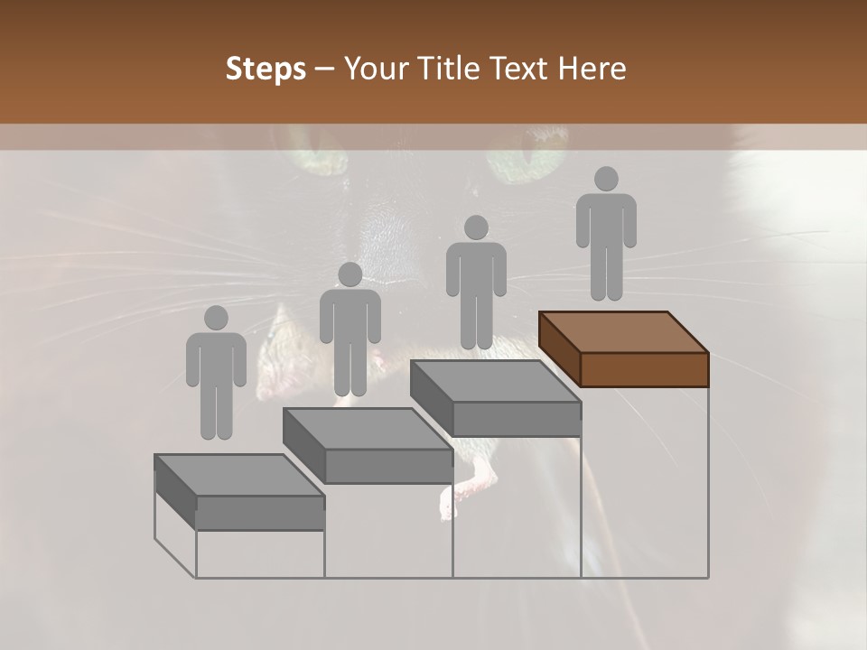 A Black Cat With A Mouse In It's Mouth PowerPoint Template