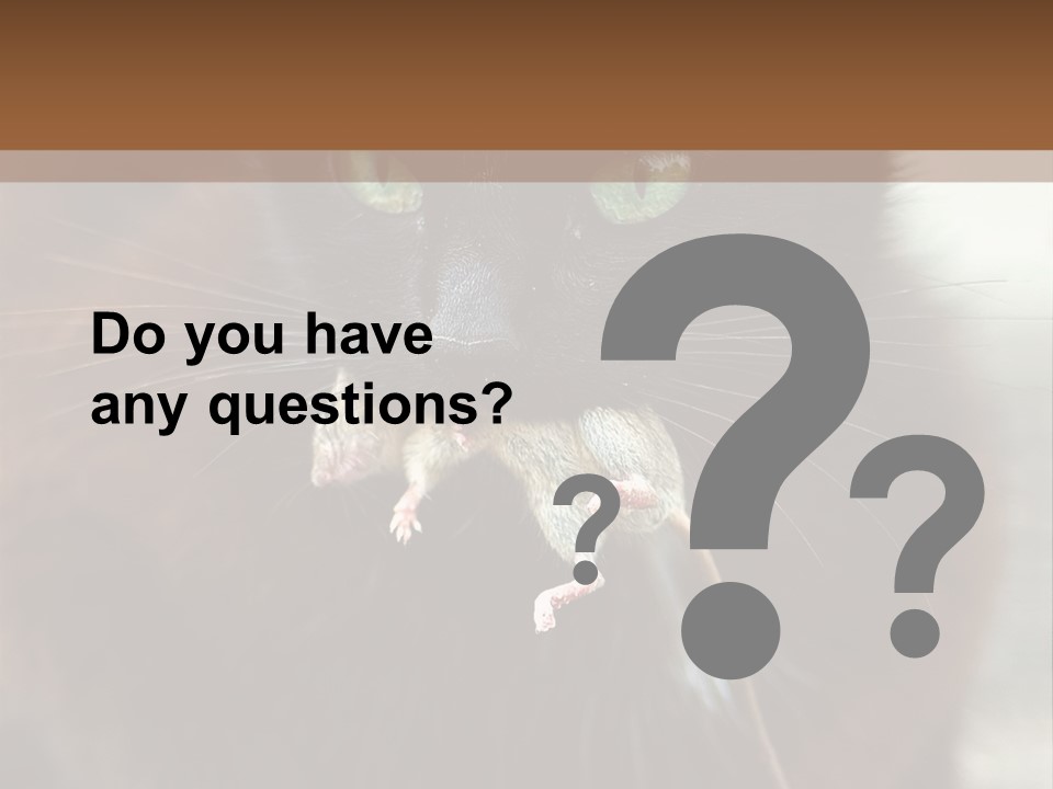 A Black Cat With A Mouse In It's Mouth PowerPoint Template