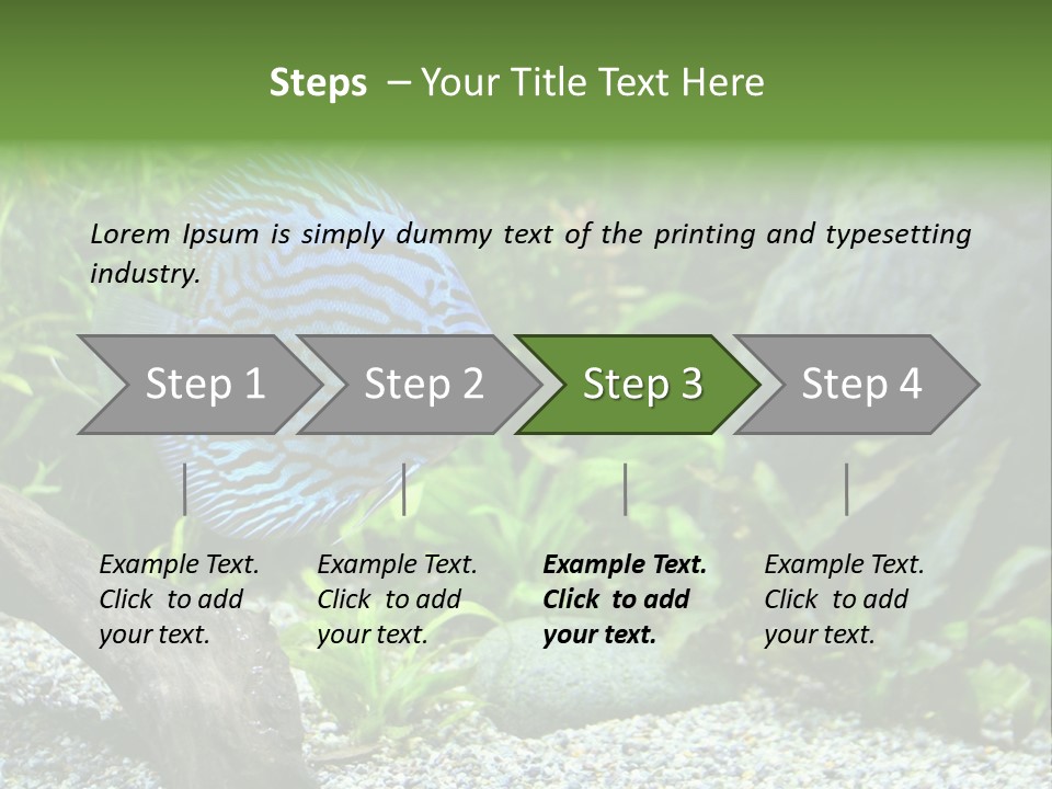 A Blue Turquoise Discus, Tropical Aquarium Fish Swimming In An Aquarium. Space For Copy. PowerPoint Template