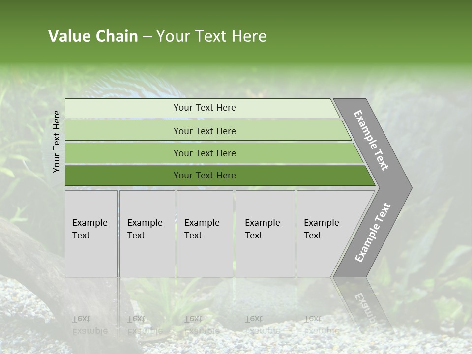 A Blue Turquoise Discus, Tropical Aquarium Fish Swimming In An Aquarium. Space For Copy. PowerPoint Template