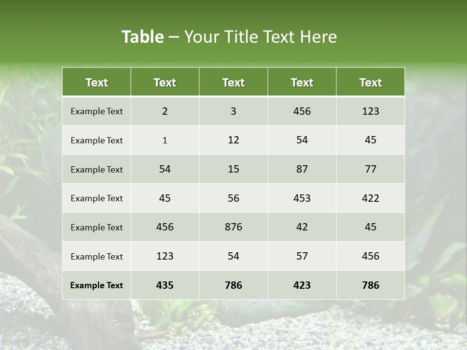 A Blue Turquoise Discus, Tropical Aquarium Fish Swimming In An Aquarium. Space For Copy. PowerPoint Template