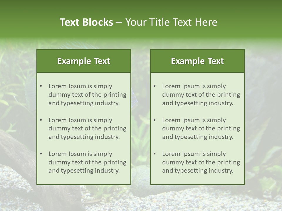 A Blue Turquoise Discus, Tropical Aquarium Fish Swimming In An Aquarium. Space For Copy. PowerPoint Template