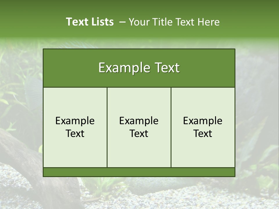A Blue Turquoise Discus, Tropical Aquarium Fish Swimming In An Aquarium. Space For Copy. PowerPoint Template