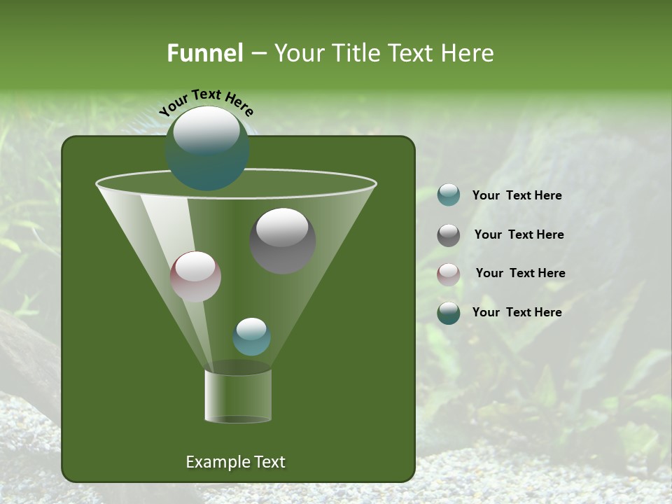 A Blue Turquoise Discus, Tropical Aquarium Fish Swimming In An Aquarium. Space For Copy. PowerPoint Template